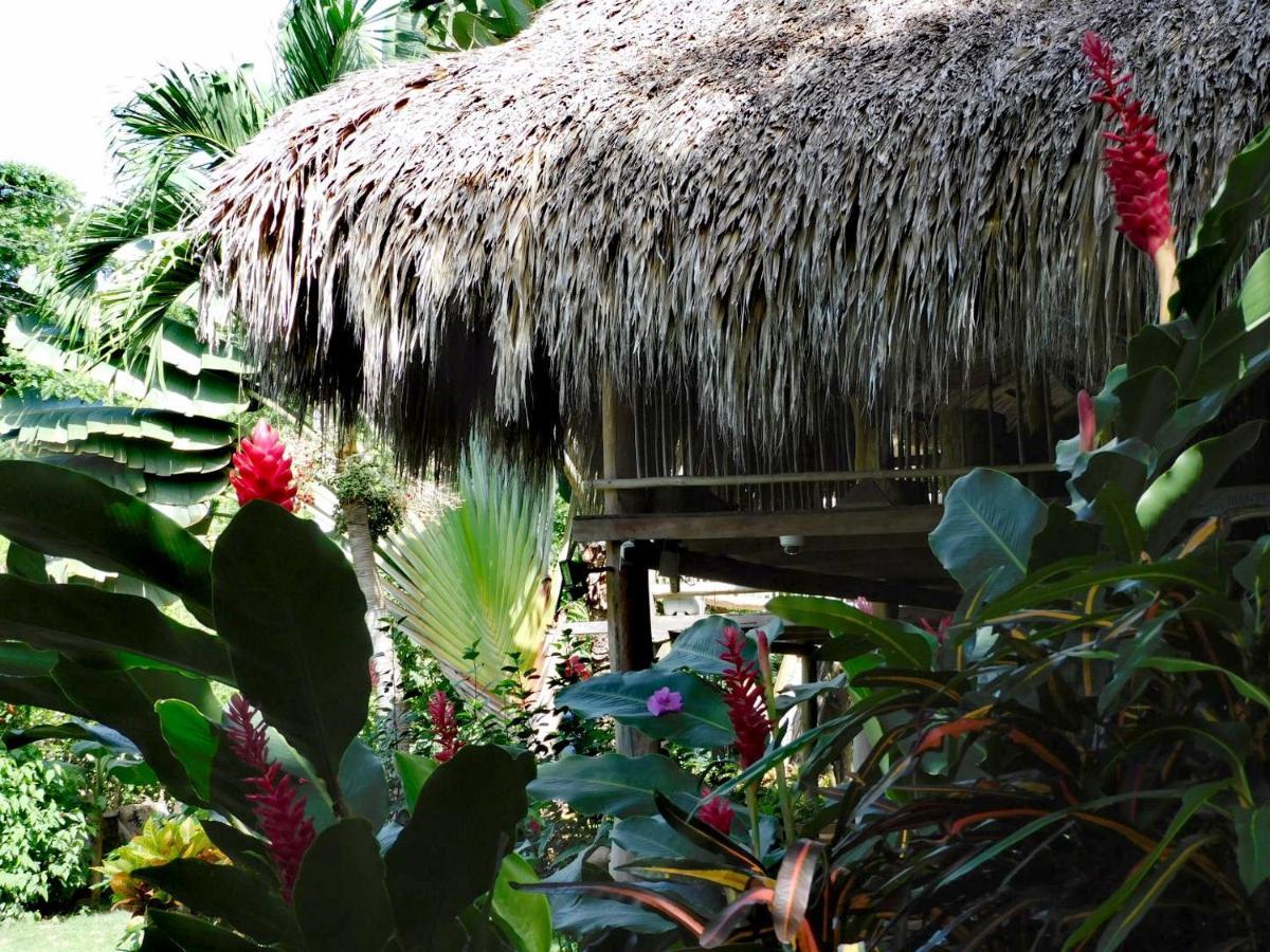 Chez Oliv Villa Palomino Dış mekan fotoğraf